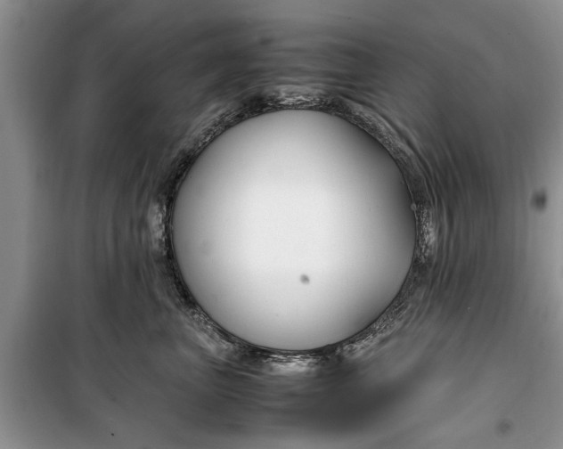 X0000099510667200805291150