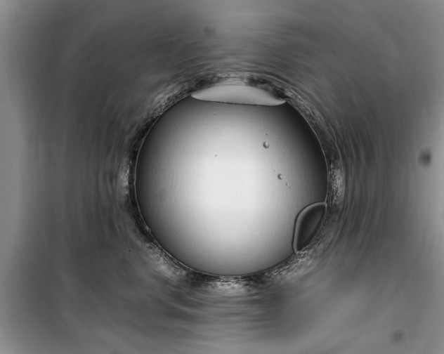 X0000099510668200805291150