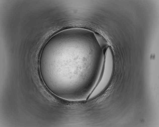 X0000099510673200805291150