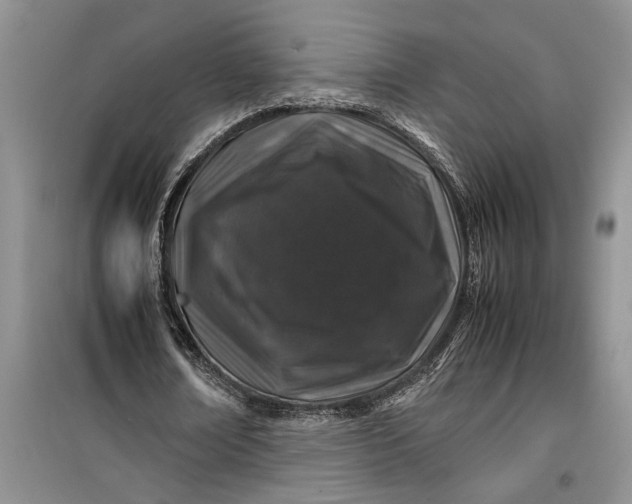 X0000099510674200805291150