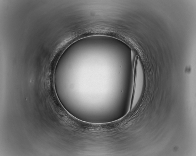 X0000099510675200805291150