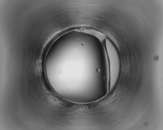 X0000099510676200805291150