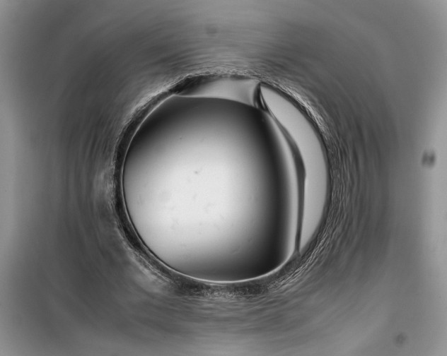 X0000099510677200805291150