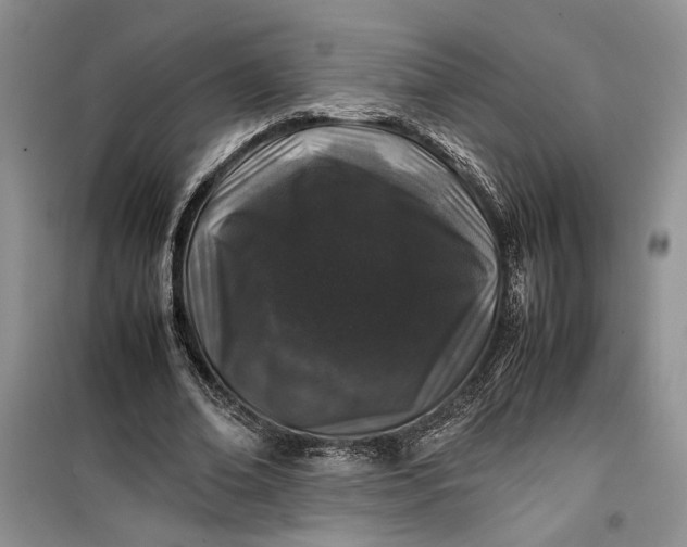 X0000099510678200805291150