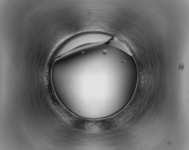 X0000099510680200805291150