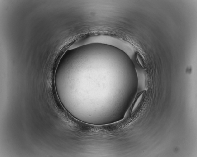 X0000099510681200805291150