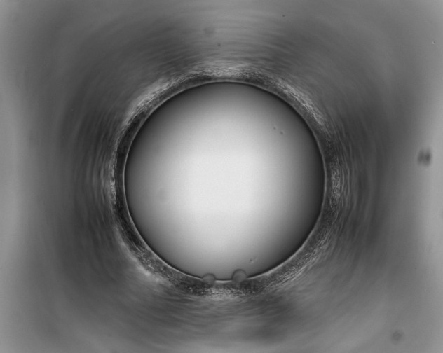 X0000099510682200805291150