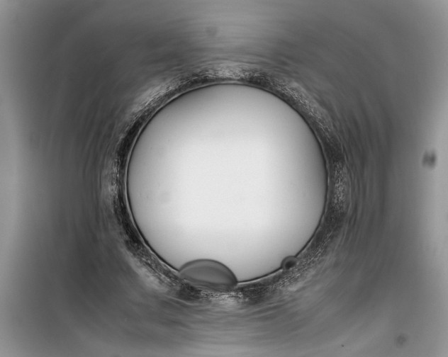 X0000099510683200805291150