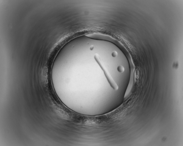 X0000099510684200805291150