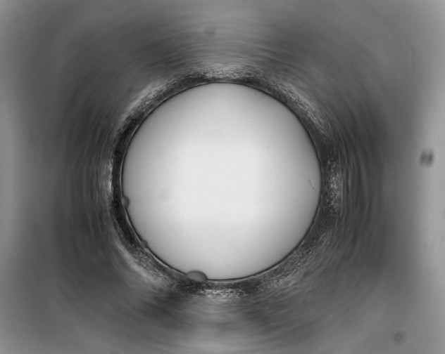 X0000099510686200805291150