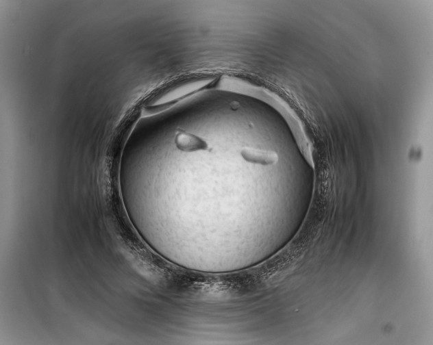 X0000099510688200805291150