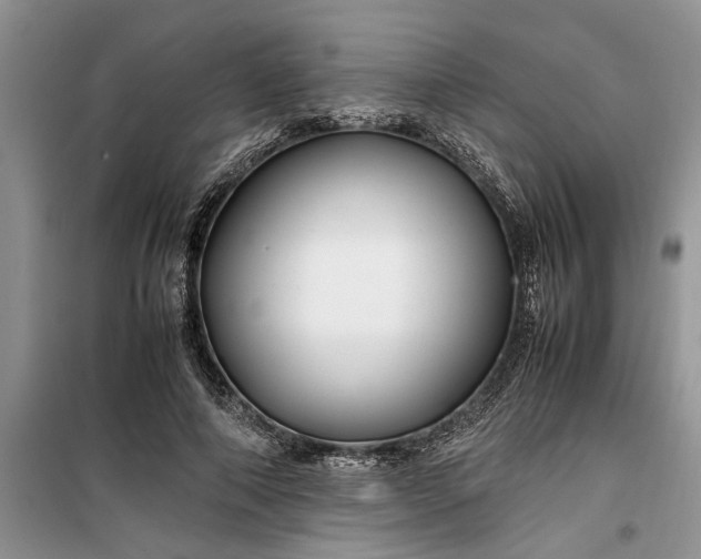 X0000099510690200805291150