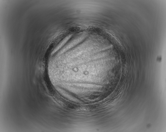 X0000099510691200805291150