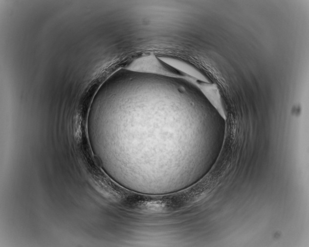 X0000099510692200805291150