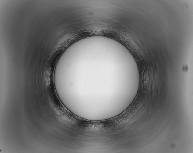 X0000099510694200805291150