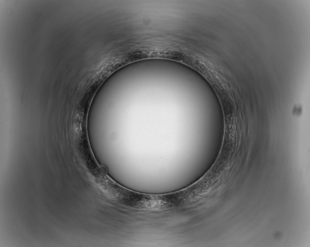 X0000099510695200805291150