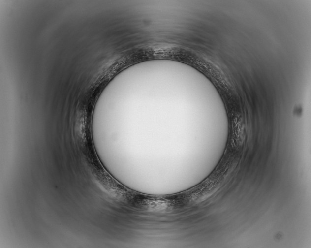 X0000099510698200805291150