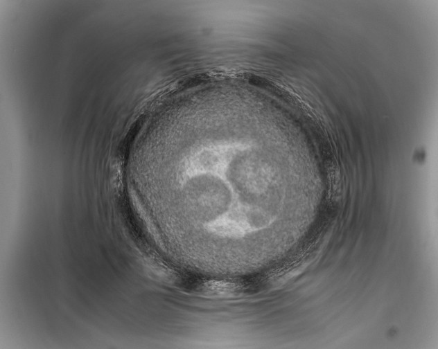 X0000099510699200805291150