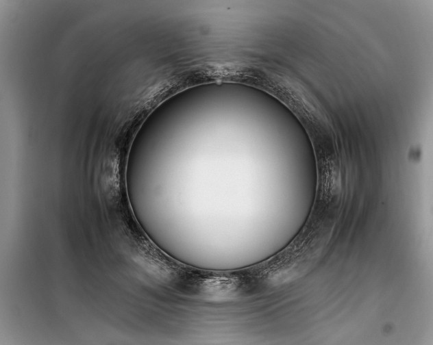 X0000099510700200805291150