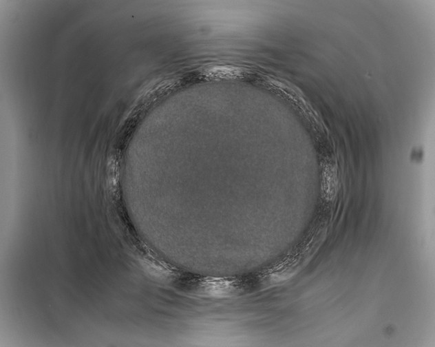 X0000099510701200805291150