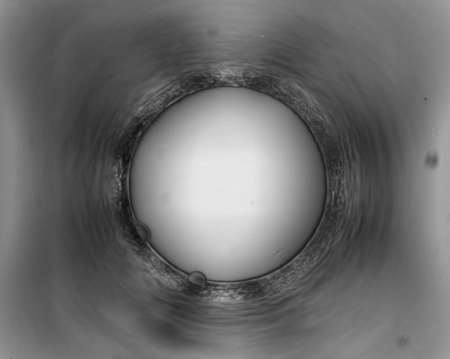 X0000099510702200805291150