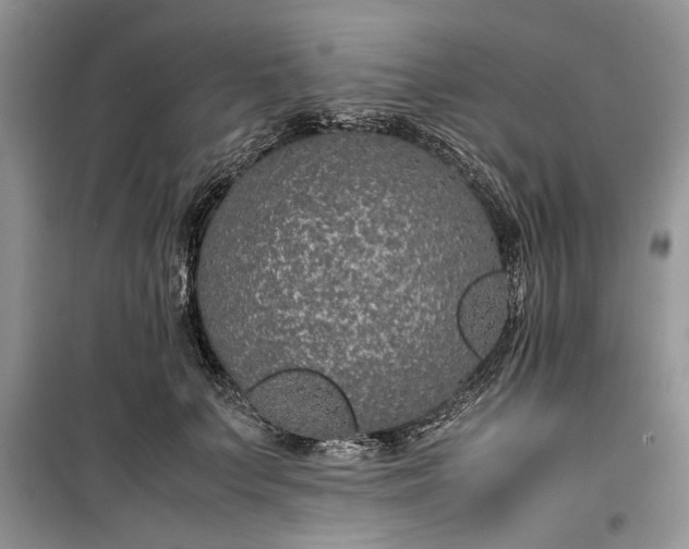 X0000099510703200805291150