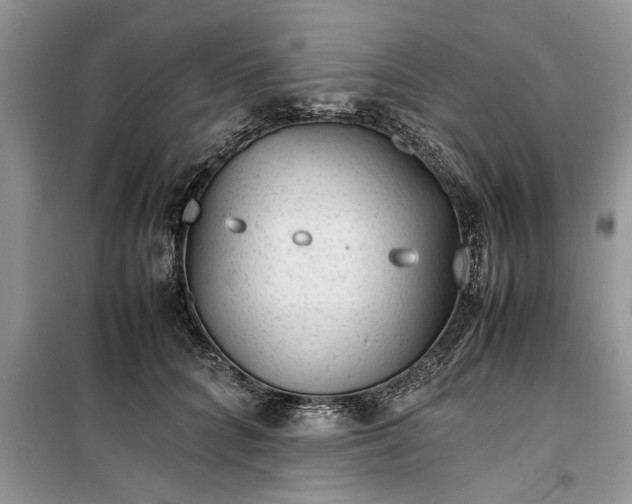 X0000099510704200805291150