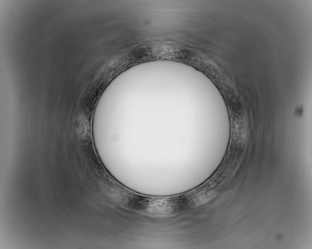 X0000099510705200805291150