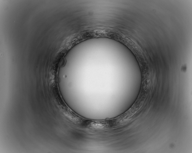 X0000099510706200805291149