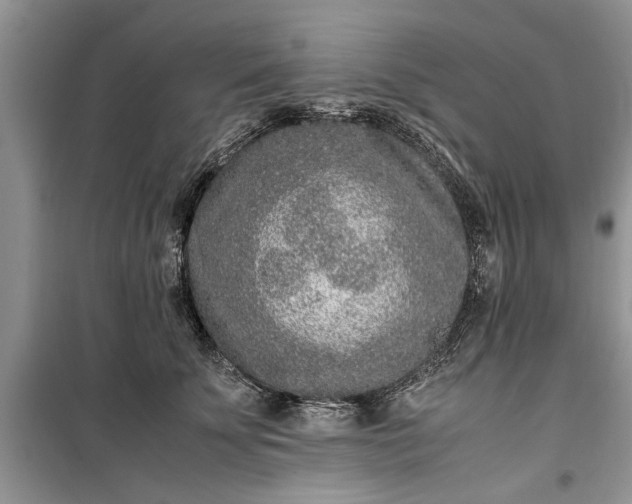 X0000099510707200805291149