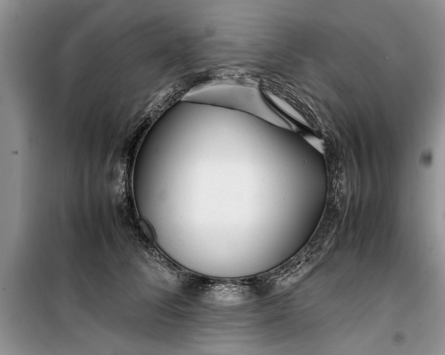 X0000099510708200805291149