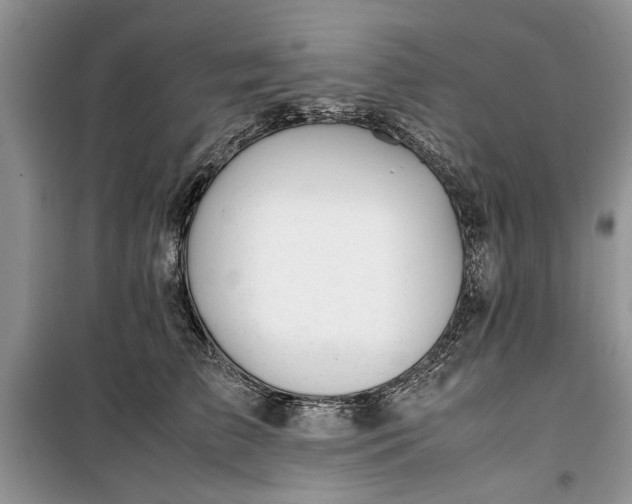 X0000099510709200805291149