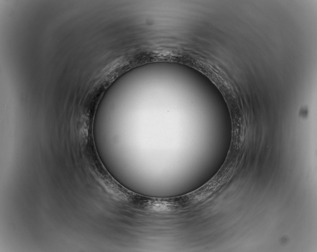 X0000099510710200805291149