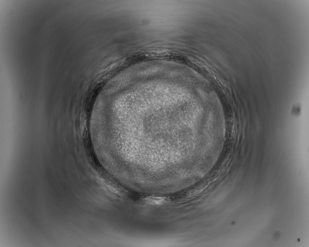 X0000099510711200805291149