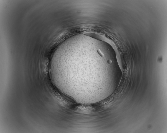 X0000099510712200805291149