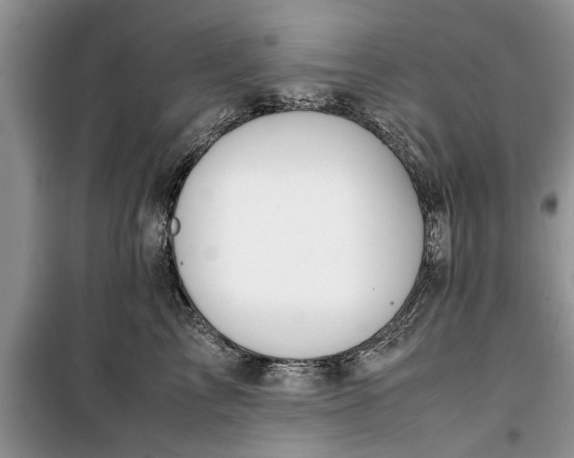 X0000099510713200805291149