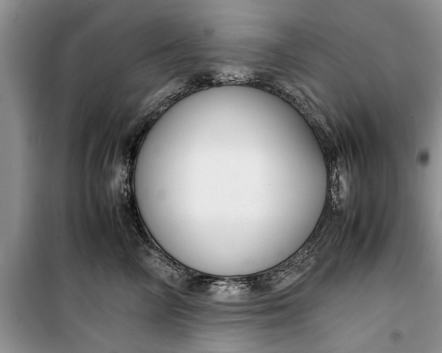 X0000099510714200805291149