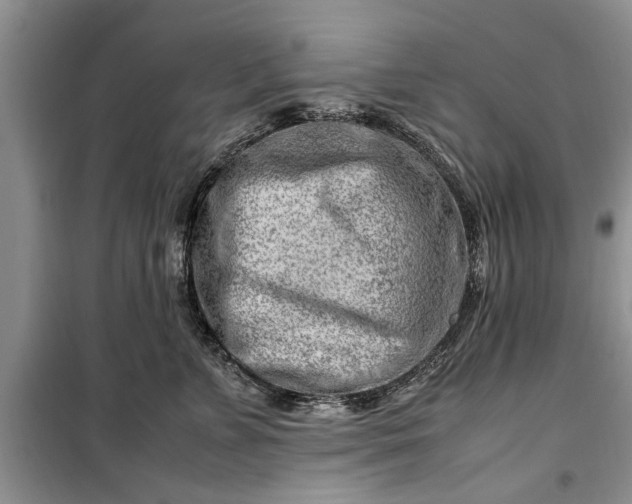 X0000099510715200805291149