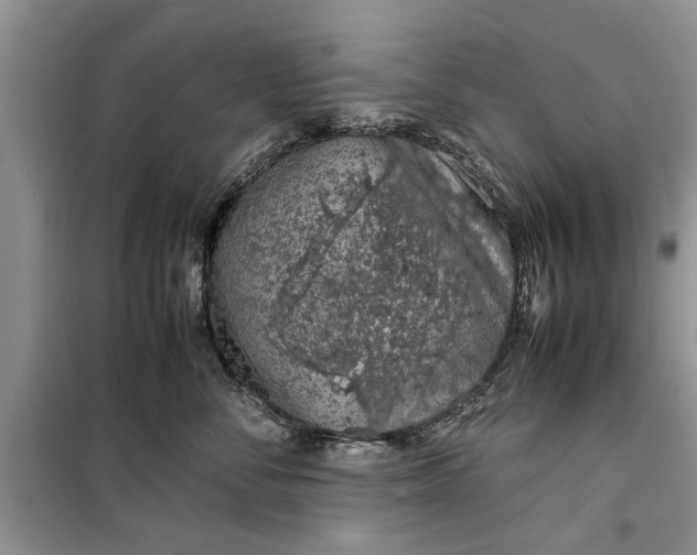 X0000099510716200805291149