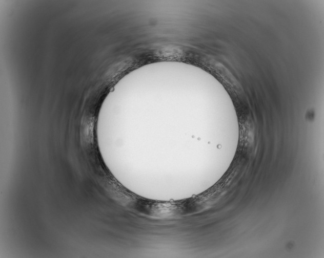 X0000099510717200805291149