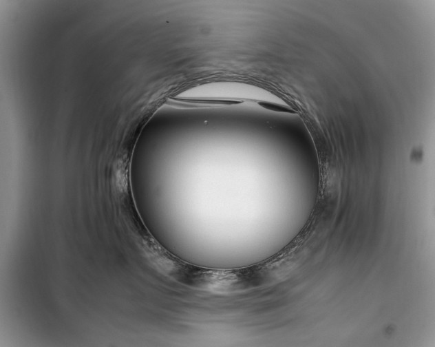 X0000099510719200805291149