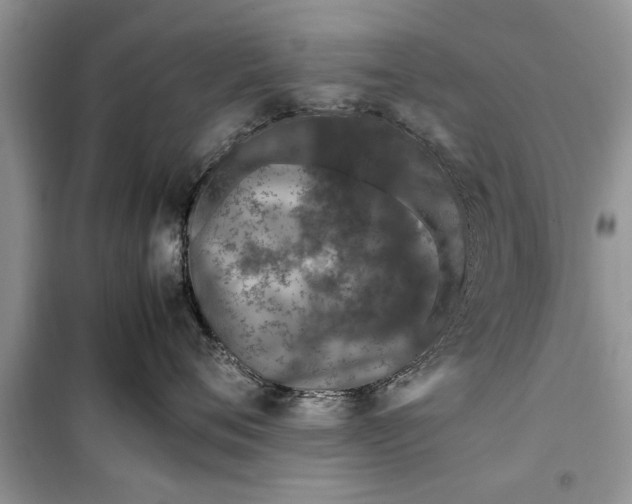 X0000099510720200805291149