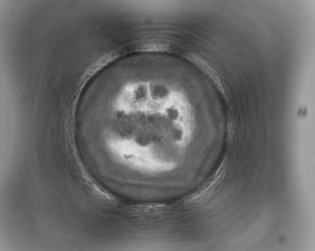 X0000099510721200805291149