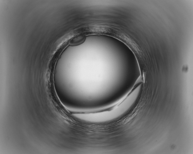 X0000099510723200805291149