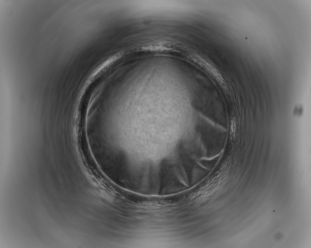 X0000099510724200805291149