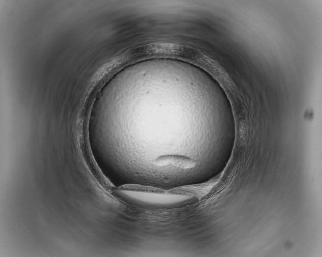 X0000099510725200805291149