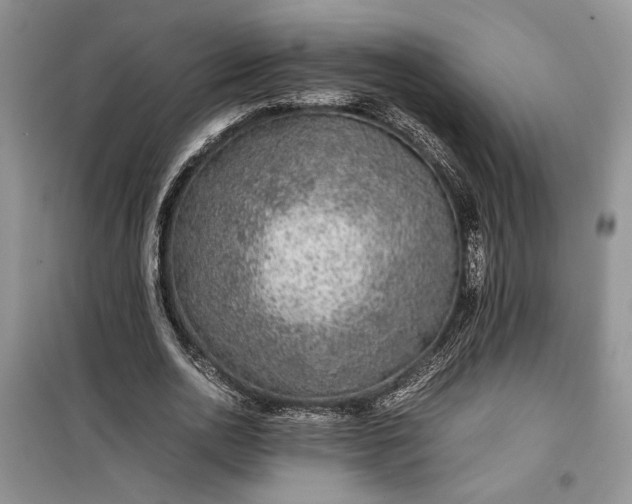 X0000099510726200805291149