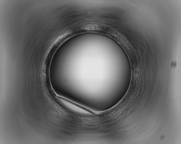 X0000099510727200805291149