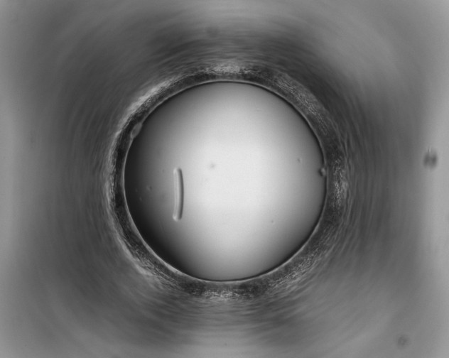 X0000099510728200805291149