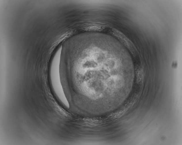 X0000099510729200805291149